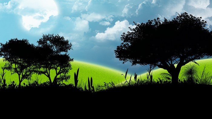 Silhouette trees on a grassy hill under a cloudy sky