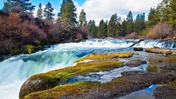 River Waterfall Forest