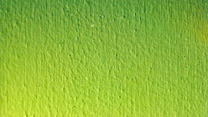 Green Textured Wall Surface