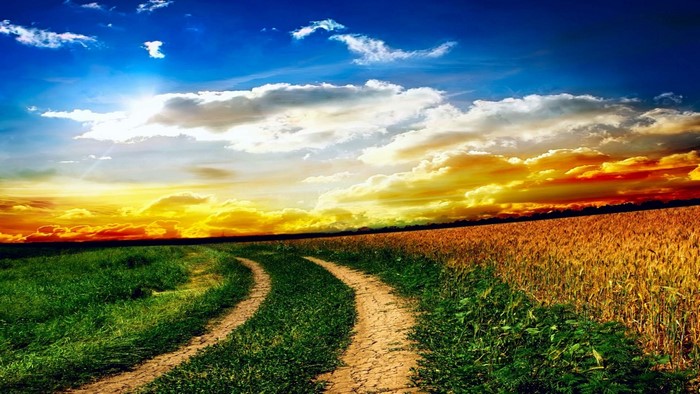 Dirt road through green and golden fields at sunset