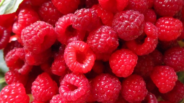Close-up of fresh red raspberries