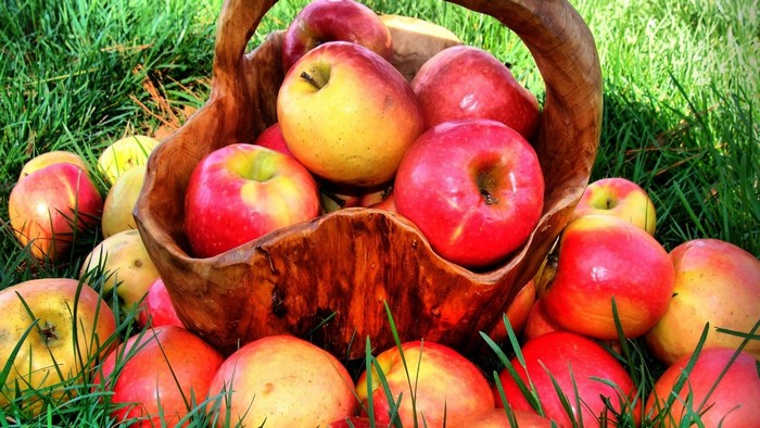 Apples in a wooden basket on grass