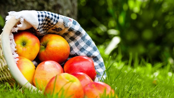 Basket of red and yellow apples on grass