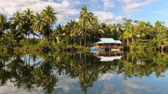 Tropical house on stilts by a lake with palm trees