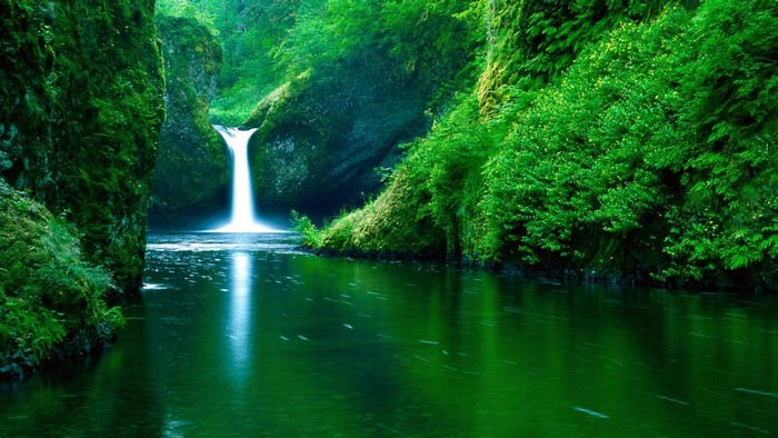 Nature River and Waterfall