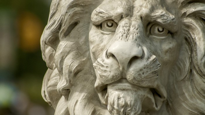 Close-up of a stone lion statue