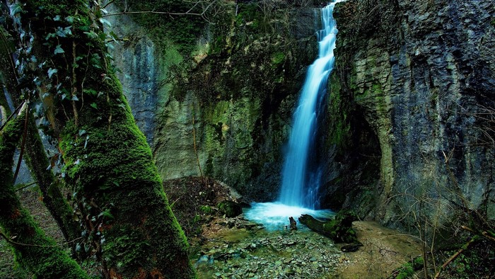 Waterfall in a mossy forest