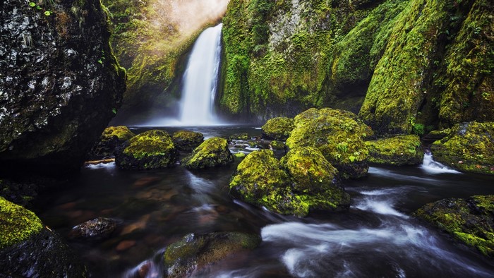 Mossy Rocks and Waterfall in Forest