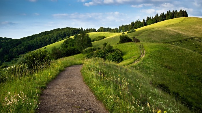A dirt path winds through green rolling hills and forests under a blue sky.