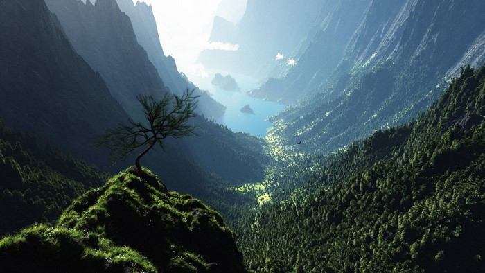 Mountain valley with a lone tree and a lake
