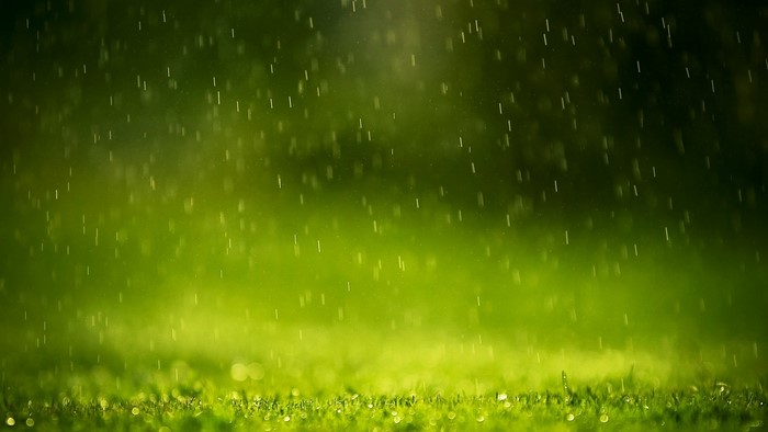 Rain falling on green grass