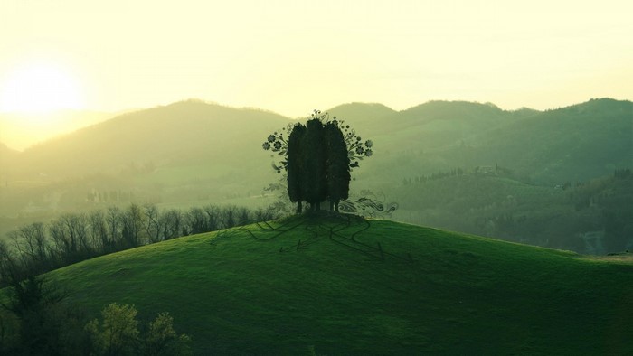 Surreal trees on a green hill at sunrise