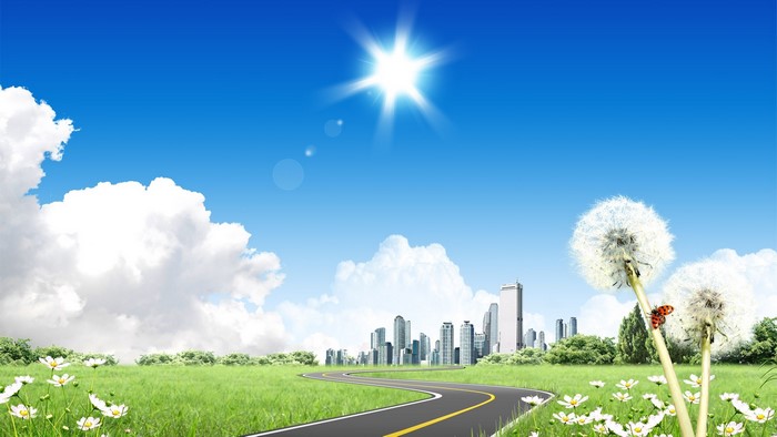 Cityscape with Dandelions and Ladybug