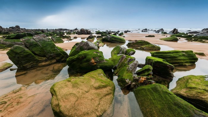 Green mossy rocks on a sandy beach with ocean waves