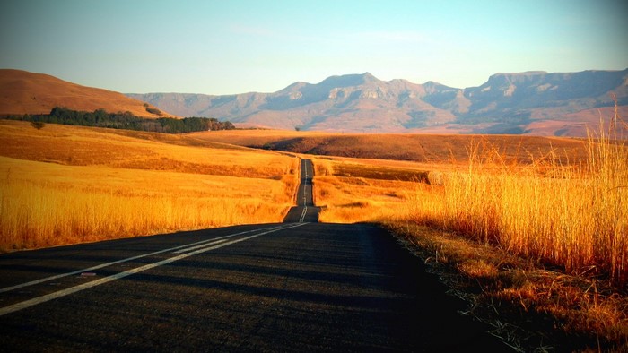 Road through golden fields to mountains