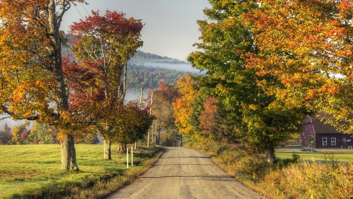 Autumn road with colorful trees and a barn