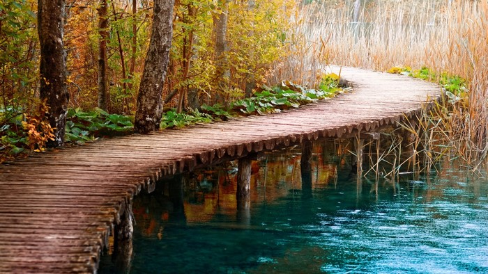 Wooden bridge over water in autumn forest