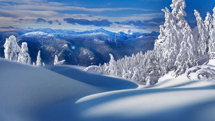 Snowy mountain landscape with snow-covered trees