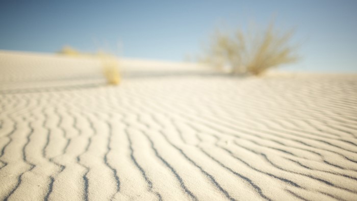 Desert sand dunes with sparse vegetation