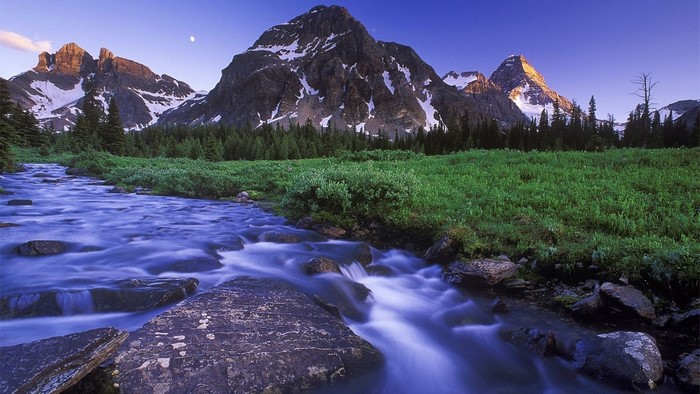 Mountain river flowing through a green field with snow-capped mountains