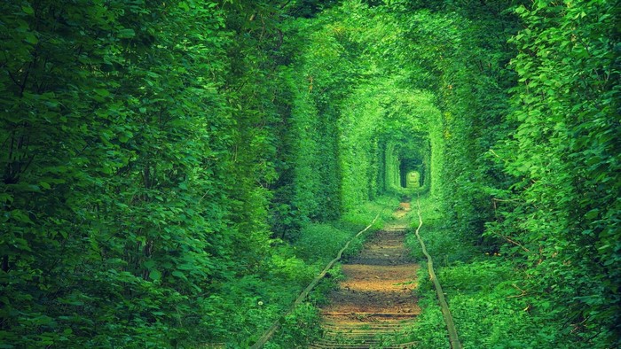 Tunnel of Love, Ukraine