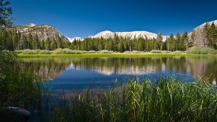 Mountain lake with trees and reflection
