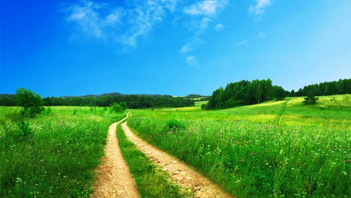 Dirt road through a green meadow under a blue sky