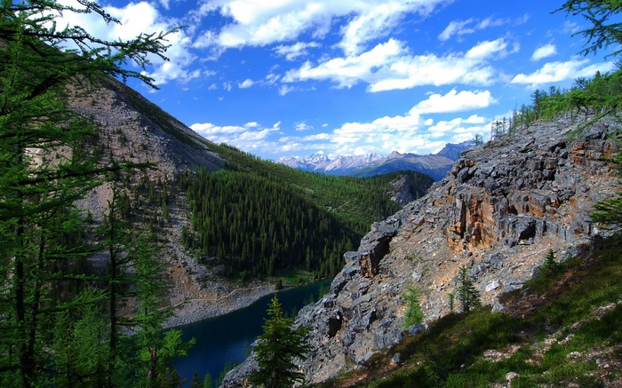 Mountain lake surrounded by pine forest and rocky slopes