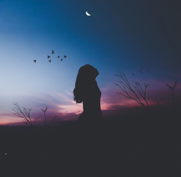 Silhouette of a woman looking at the moon and birds