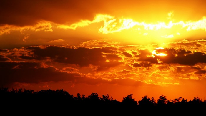 Sunset over a forest silhouette