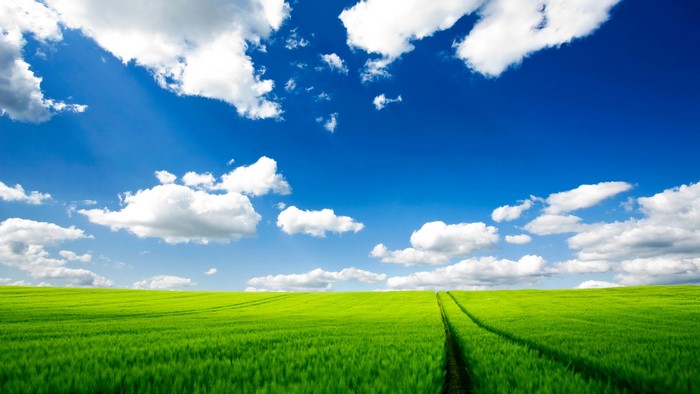 Green field under a blue sky with clouds