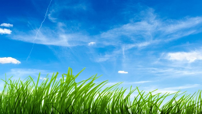 Green grass and blue sky with clouds