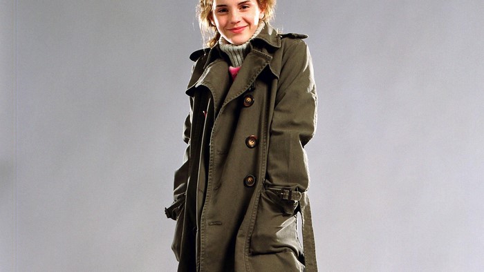 Hermione Granger from Harry Potter