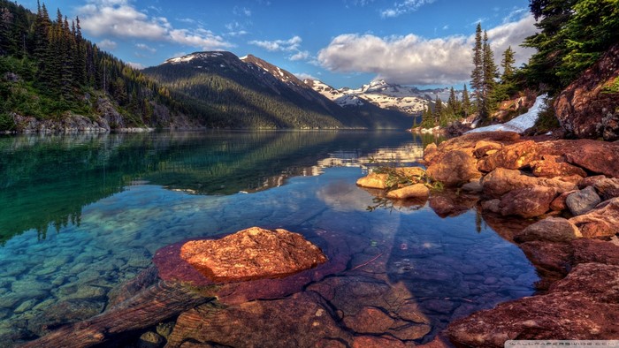 Mountain Lake with Rocky Shoreline and Forest