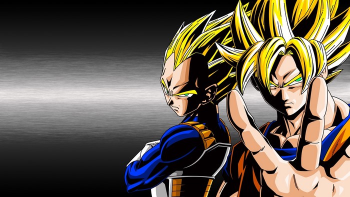 Goku and Vegeta from Dragon Ball Z