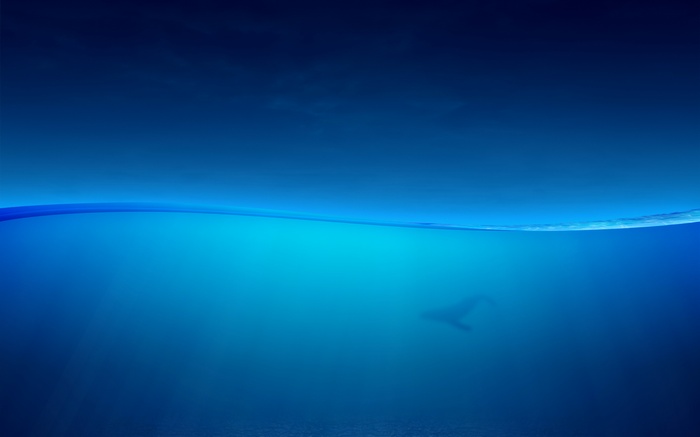 Underwater scene with a whale swimming