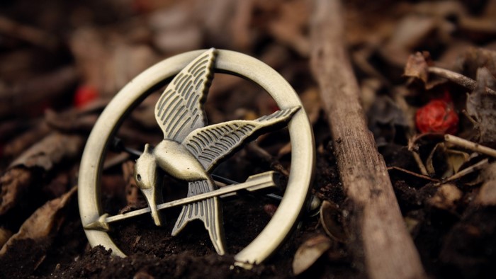 The Hunger Games Catching Fire Mockingjay pin