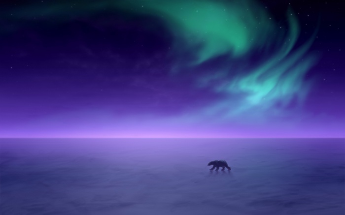 Polar bear under Aurora Borealis