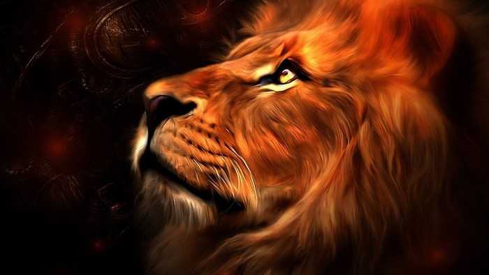 Abstract Lion Portrait