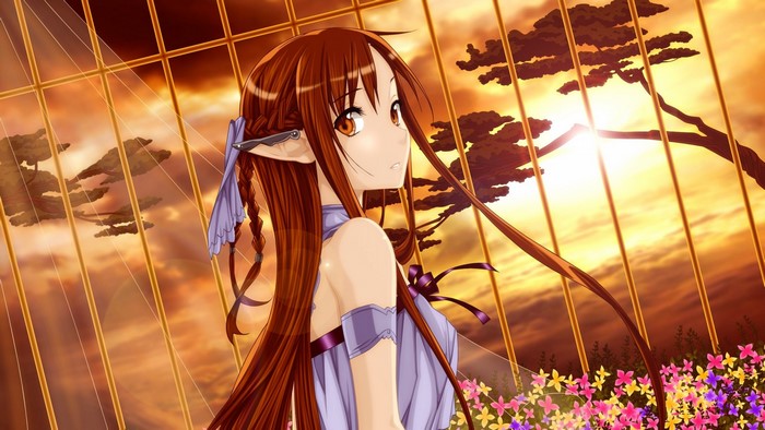 Asuna Yuuki from Sword Art Online