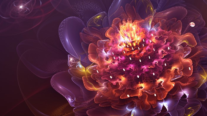 Abstract fractal flower with vibrant colors
