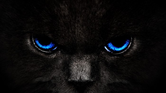Close-up of a black cat with glowing blue eyes