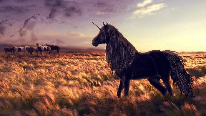 Black Unicorn in a Field at Sunset
