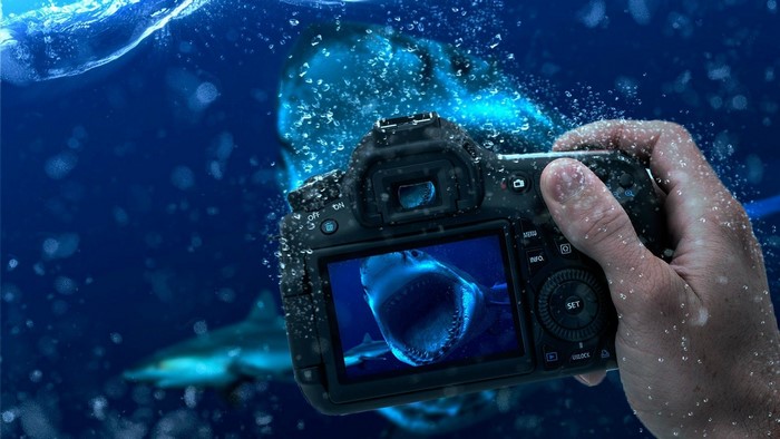 Underwater photography of a shark with a camera