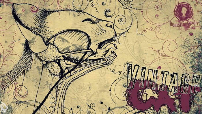Vintage Cat Illustration with Floral Ornaments