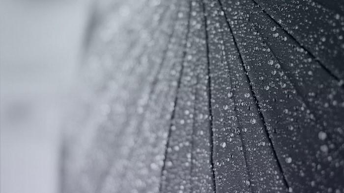 Close-up of a black umbrella with raindrops