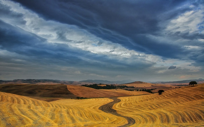 Winding path through golden fields under stormy clouds