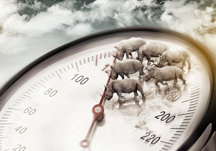 Rhinoceros herd on a pressure gauge