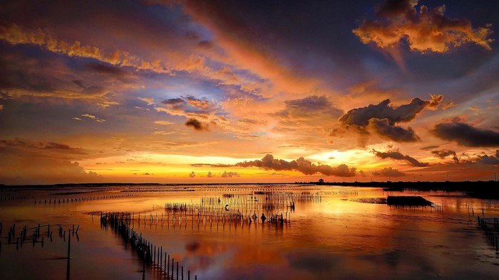 Sunset over water with wooden posts
