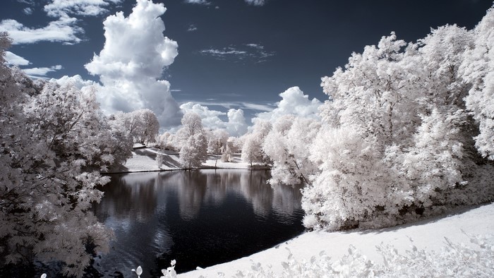 Infrared landscape of a park with a pond and trees